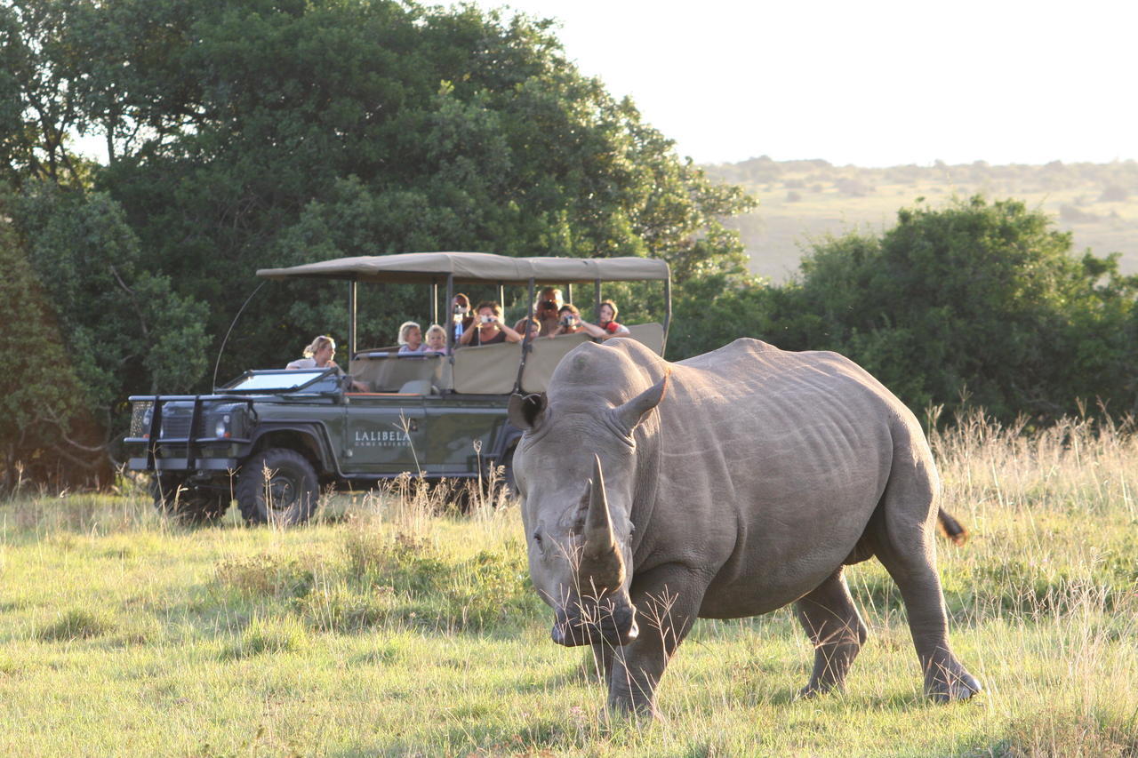 Lalibela Game Reserve Mark'S Camp Grahamstown Εξωτερικό φωτογραφία