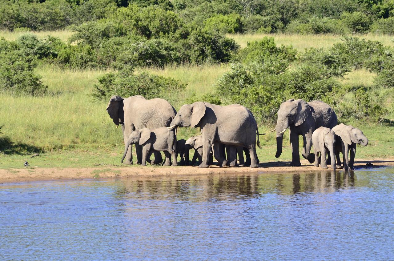 Lalibela Game Reserve Mark'S Camp Grahamstown Εξωτερικό φωτογραφία