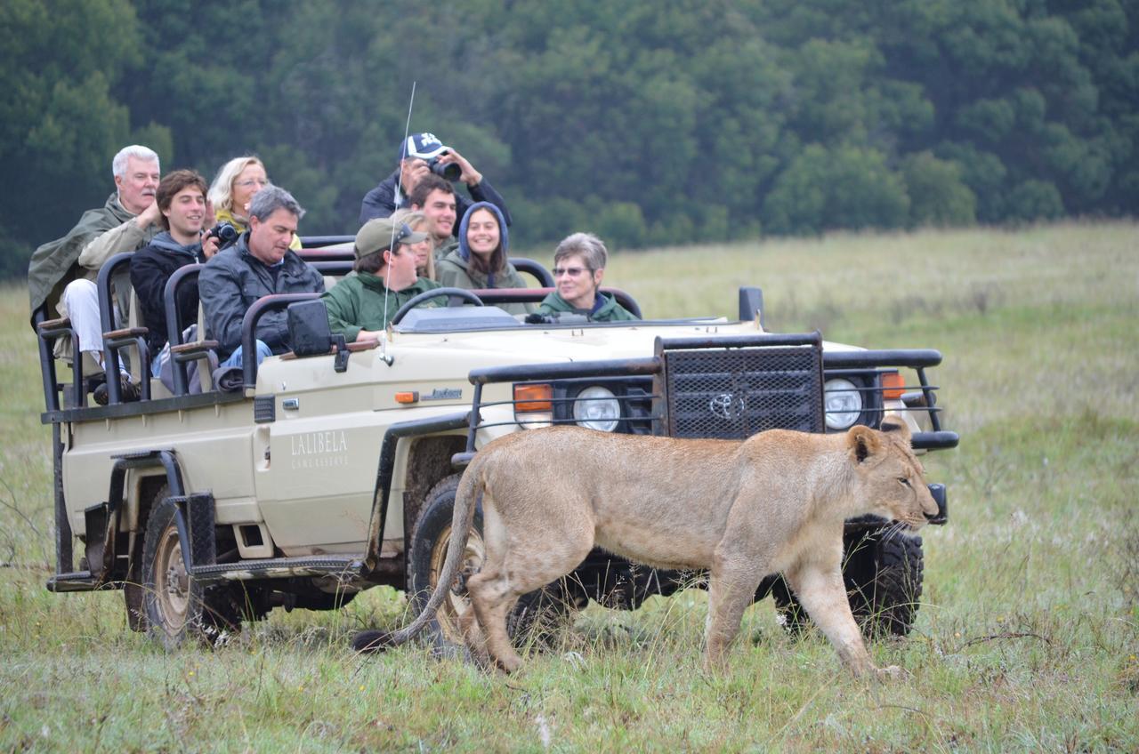 Lalibela Game Reserve Mark'S Camp Grahamstown Εξωτερικό φωτογραφία