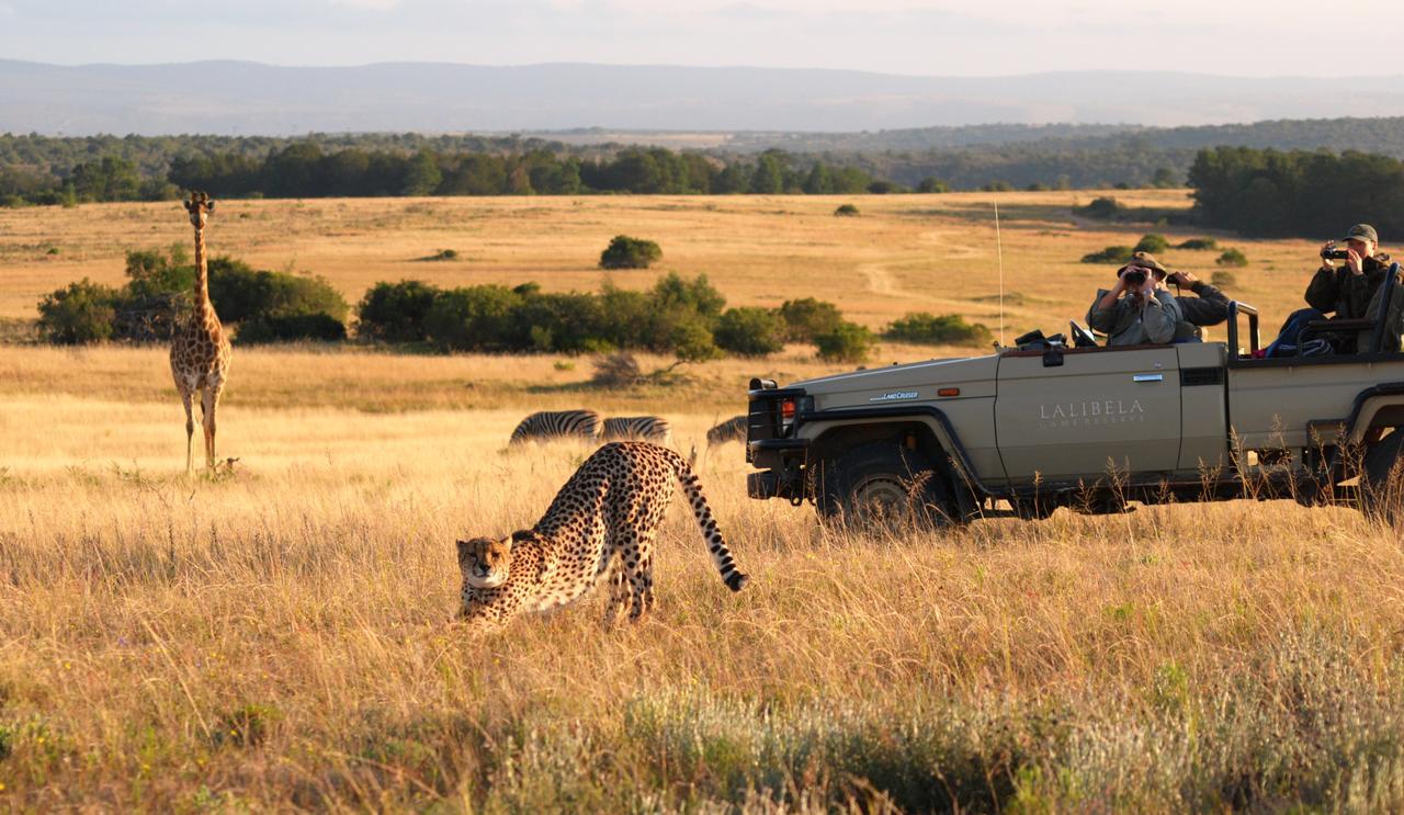 Lalibela Game Reserve Mark'S Camp Grahamstown Εξωτερικό φωτογραφία