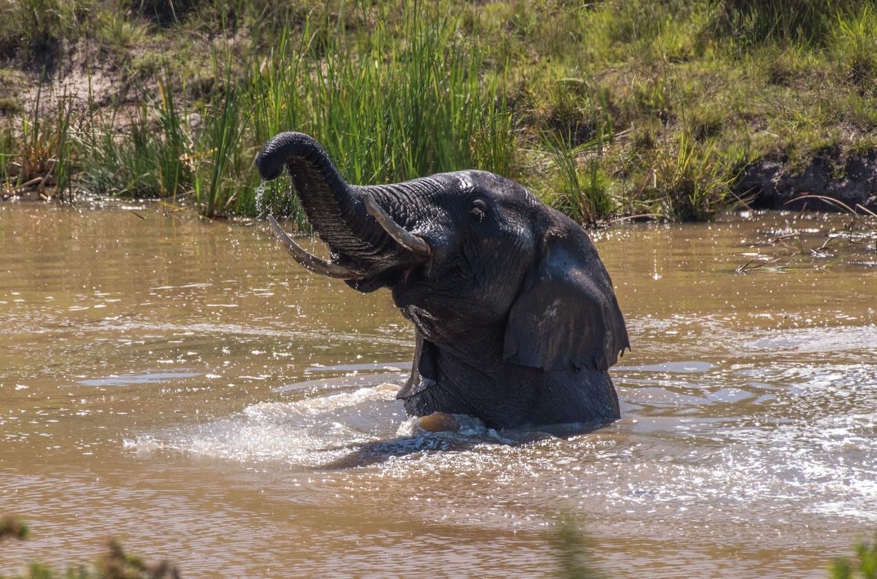 Lalibela Game Reserve Mark'S Camp Grahamstown Εξωτερικό φωτογραφία