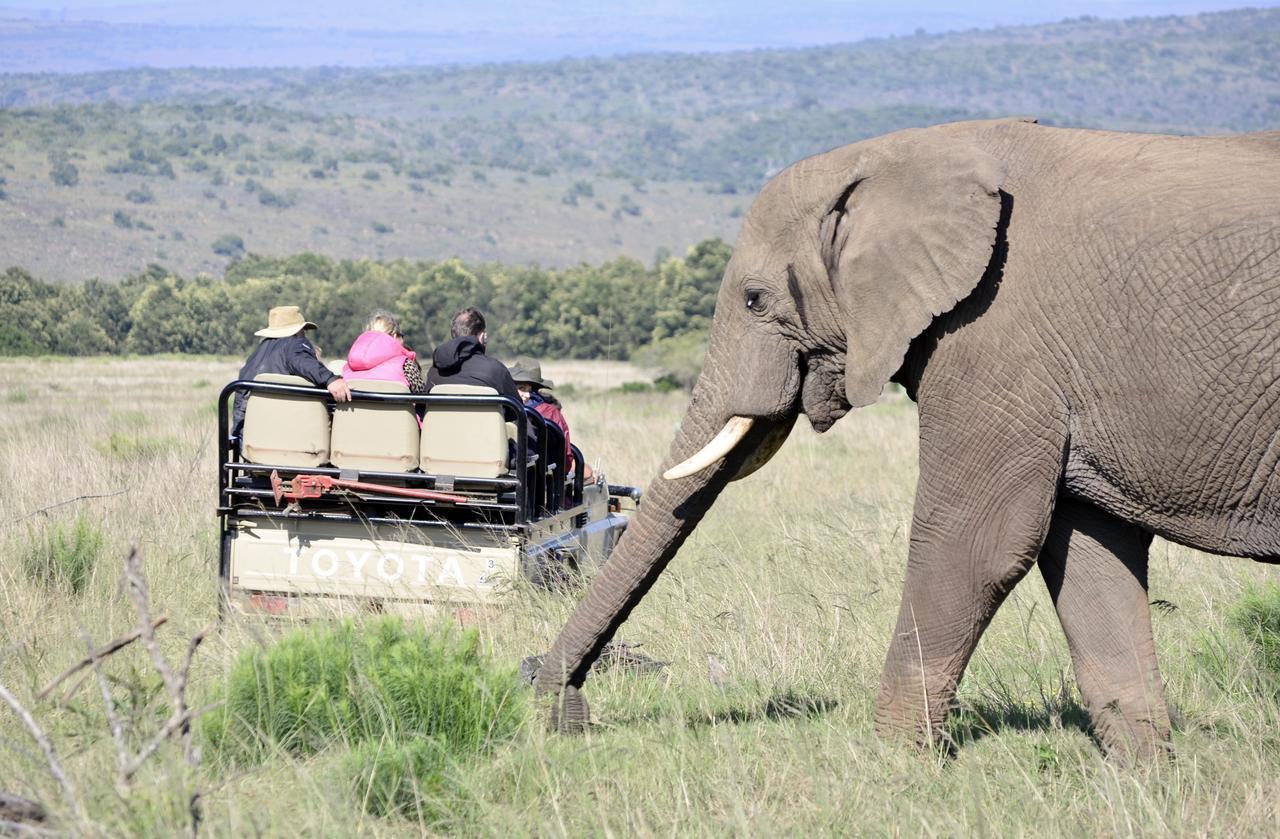 Lalibela Game Reserve Mark'S Camp Grahamstown Εξωτερικό φωτογραφία