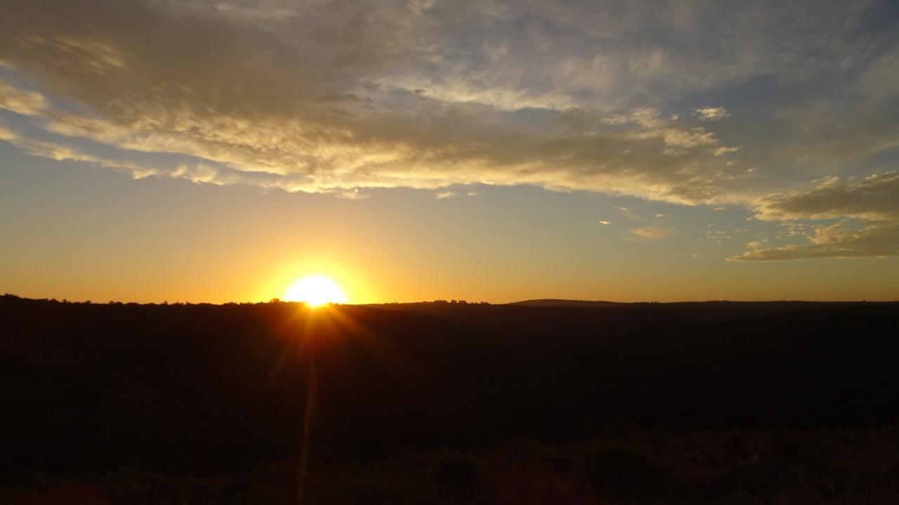 Lalibela Game Reserve Mark'S Camp Grahamstown Εξωτερικό φωτογραφία